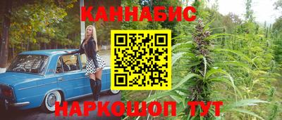 прущие грибы Камышлов