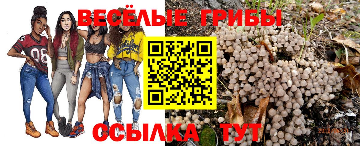 где найти   Галлюциногенные грибы мицелий  Вход с VPN  Красный Сулин 