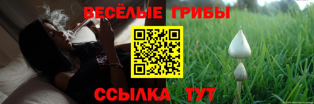 Галлюциногенные грибы ЛСД Красный Сулин